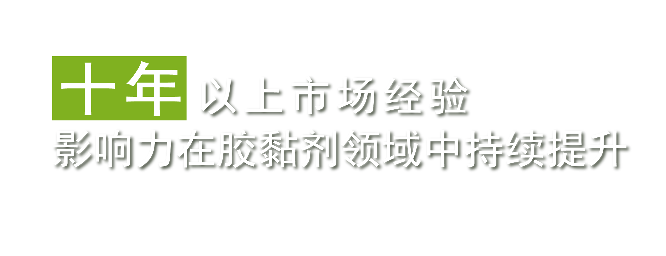 十年以上的市场经验，影响力在胶黏剂领域中持续提升